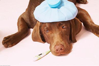 《赛博朋克2077》续作情报 有新城市类似于芝加哥